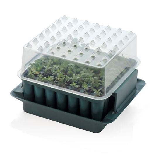 Agralan Plug Plant Trainer 49 Seed Propagator