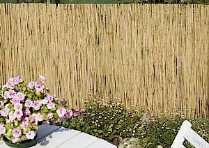Reed Screen 4M X 2M