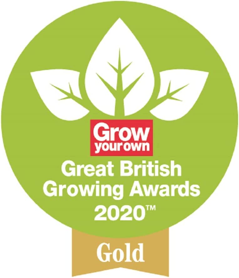 Spear & Jackson IPC3PS Indoor Plant Care 3 Piece Tools Set Garden, Red and Blue, 40.0 mm*230.0 mm*180.0 mm