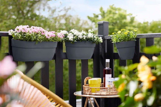 Elho Vibia Campana Easy Hanger Large ANTHRACITE