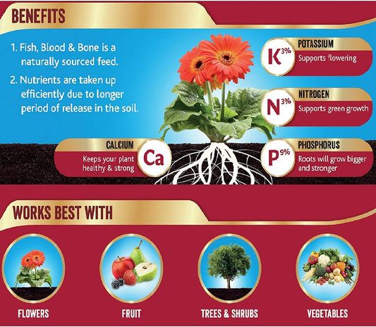 Westland Fish, Blood and Bone All Purpose Plant Food 8 kg