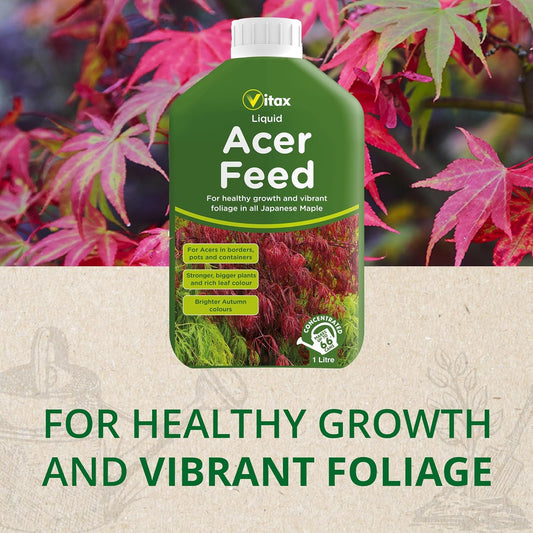 Vitax Liquid Acer Tree Feed | Promotes Healthy Leaf & Root Growth | 1 Litre Concentrated