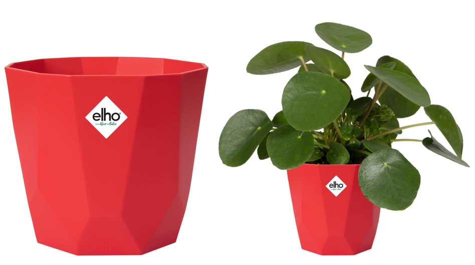Elho b.For Rock Contemporary Plant Pots 18cm BRILLIANT RED