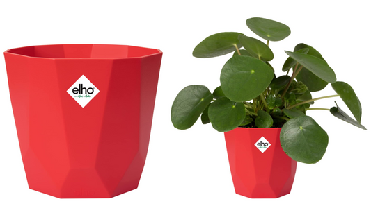 Elho b.For Rock Contemporary Plant Pots 18cm BRILLIANT RED