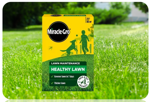 Miracle-Gro Lawn Builder Feed | Stronger & Greener Lawns | 200m2 Feed 3 Months