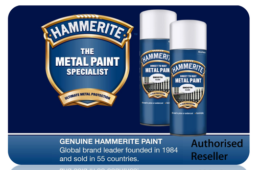 Hammerite Spray Paint for Metal | Direct to Rust Exterior Metal Paint | Smooth Finish | SILVER