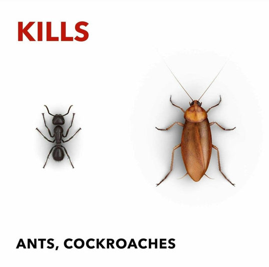 Zero-In Advanced Anti-Bacterial Ant & Cockroach Killer 500ml (ZER958)