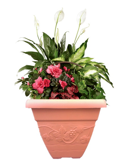 Wham Vineyard Terracotta Square Planter 32cm H236