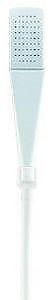 Basics Shampoo Spray WHT