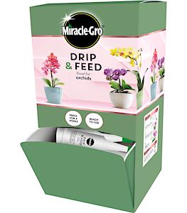 MG DRIP & FEED ORCHID