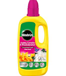 Miracle-Gro 121180 Azelia, Camellia & Rhododendron Concentrated Plant Food, 800 Ml, Natural