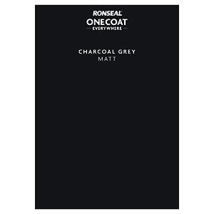 P&S ONE COAT EVERYWHERE CHAR GREY