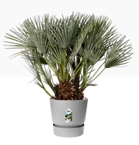 Elho Greenville Round Pot & Base LIVING CONCRETE 40cm