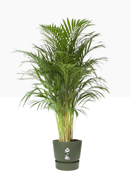 Elho Greenville Round Pot & Base LEAF GREEN 40cm