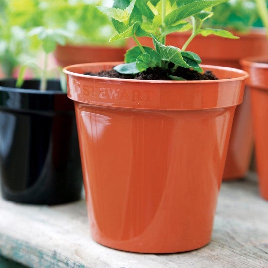 Stewart Garden 30.5cm (12inch) Flower Pots Terracotta