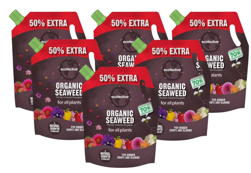 Ecofective Organic Liquid Seaweed For All Plants, (50% Extra FREE), 1.2L Pouch