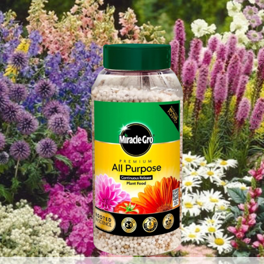 Miracle-Gro Continuous Release All Purpose Plant Food 900g