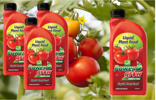 Hygeia Power Grow Concentrated Tomato Food 1 L