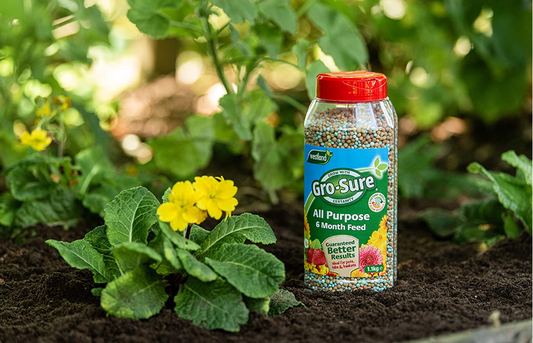 Westland Gro-Sure Slow Release 6 Month Plant food 1.0kg
