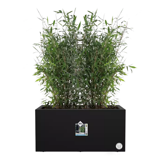 Elho Vivo Next Living Black Long Planter 60cm