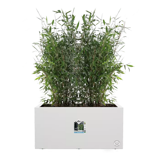 Elho Vivo Next White Long Planter 60cm