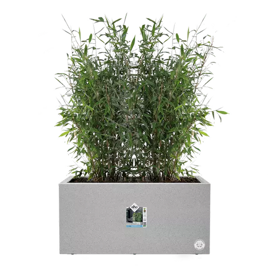 Elho Vivo Next Living Concrete Long Planter 60cm