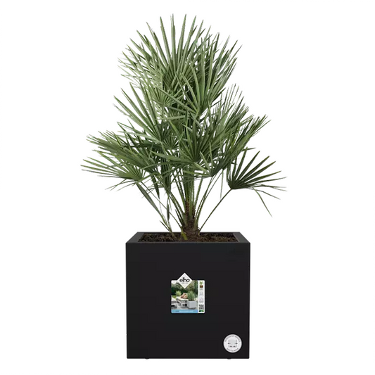 Elho Vivo Next Living Black Square Planter 30cm