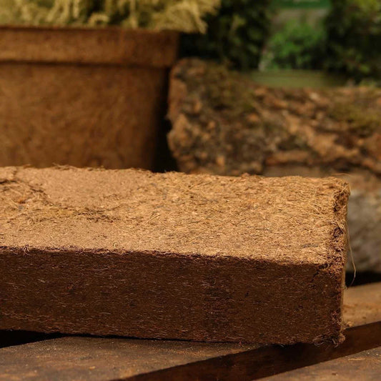 Coir Potting Mix Bricks | 100% natural and biodegradable | 10 x650g