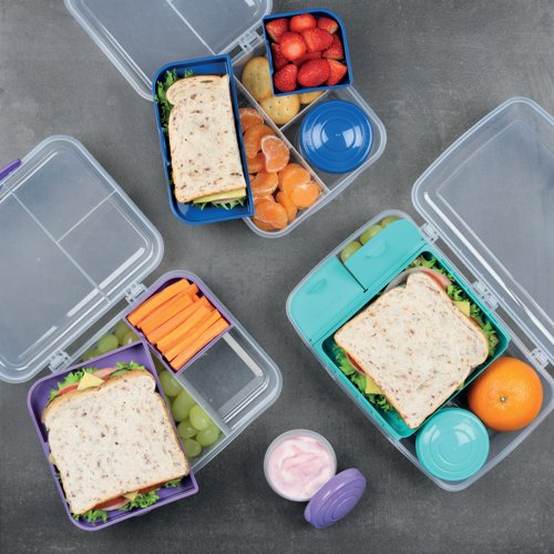 Sistema Bento Cube to Go 1.25L 21685
