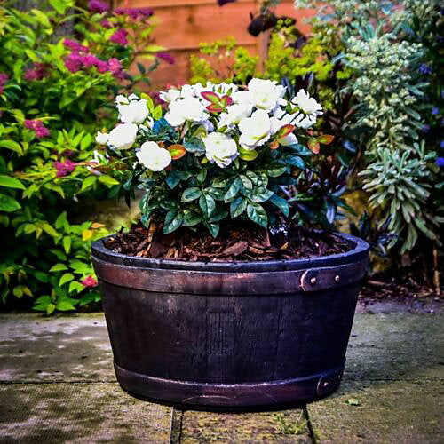 Sankey Oakwood Large 49cm Indoor - Outdoor Barrel Planter (GN653)