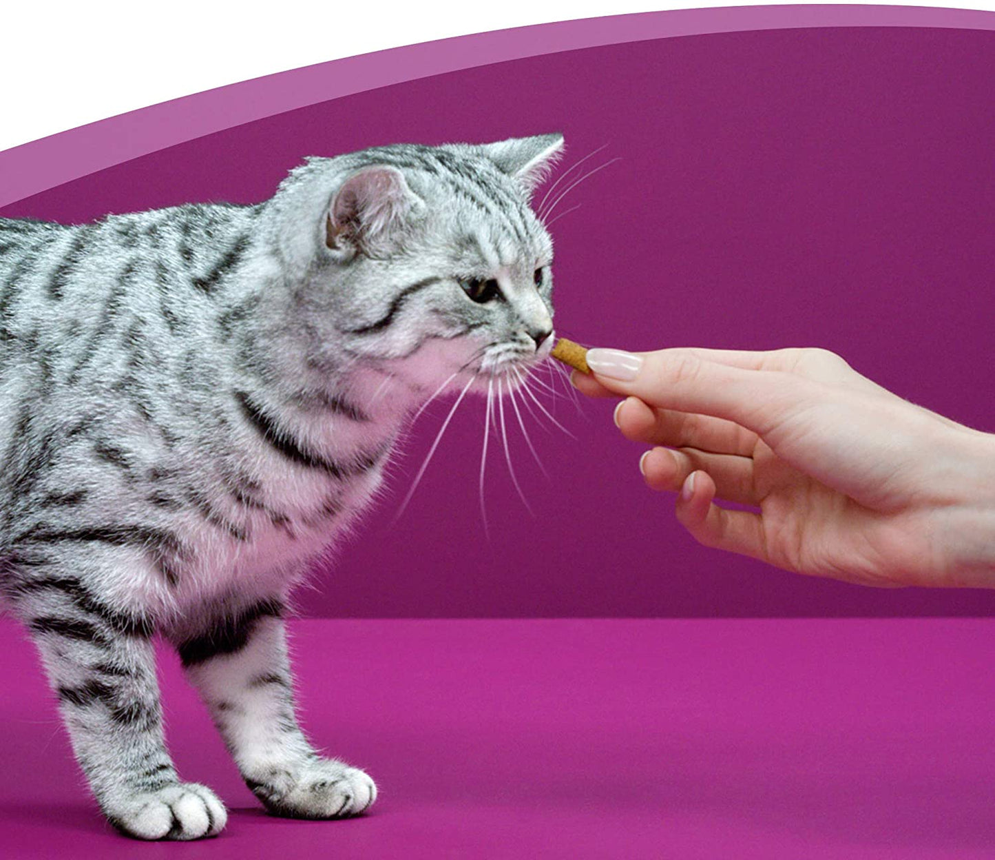 Whiskas Temptations Cat Treats with Chicken & Cheese {16 x 60g Offer}