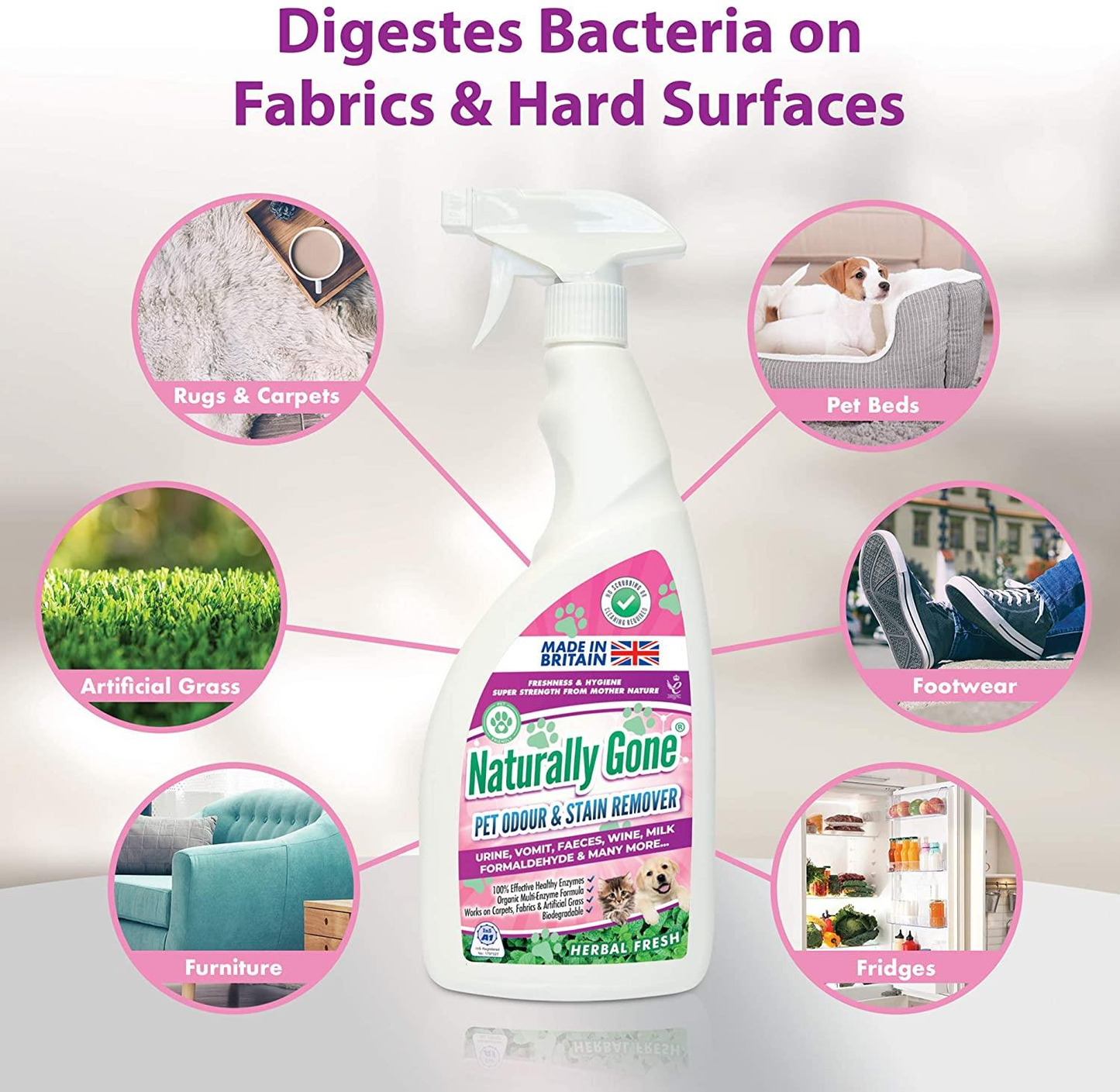 Airpure Naturally Gone Pet Odour & Stain Remover Citrus Zing Stain Remover 750ml