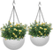 Fixtures Large Beige Rattan Garden Hanging Basket 25cm x 16cm {Wholesale x 160}