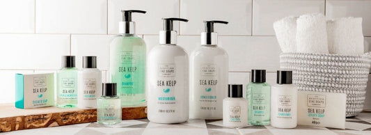 Sea Kelp Conditioner & Shampoo Bottles 30ml {Hotel Guest House, Travel Sized}