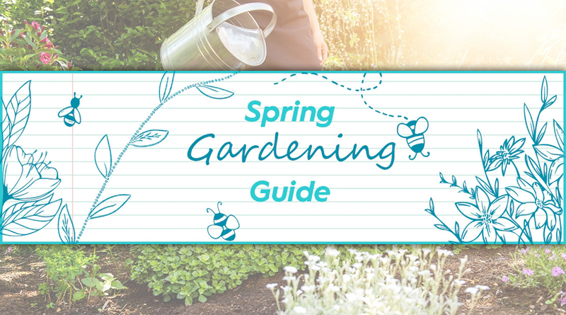 Top Tips For Gardening In Spring