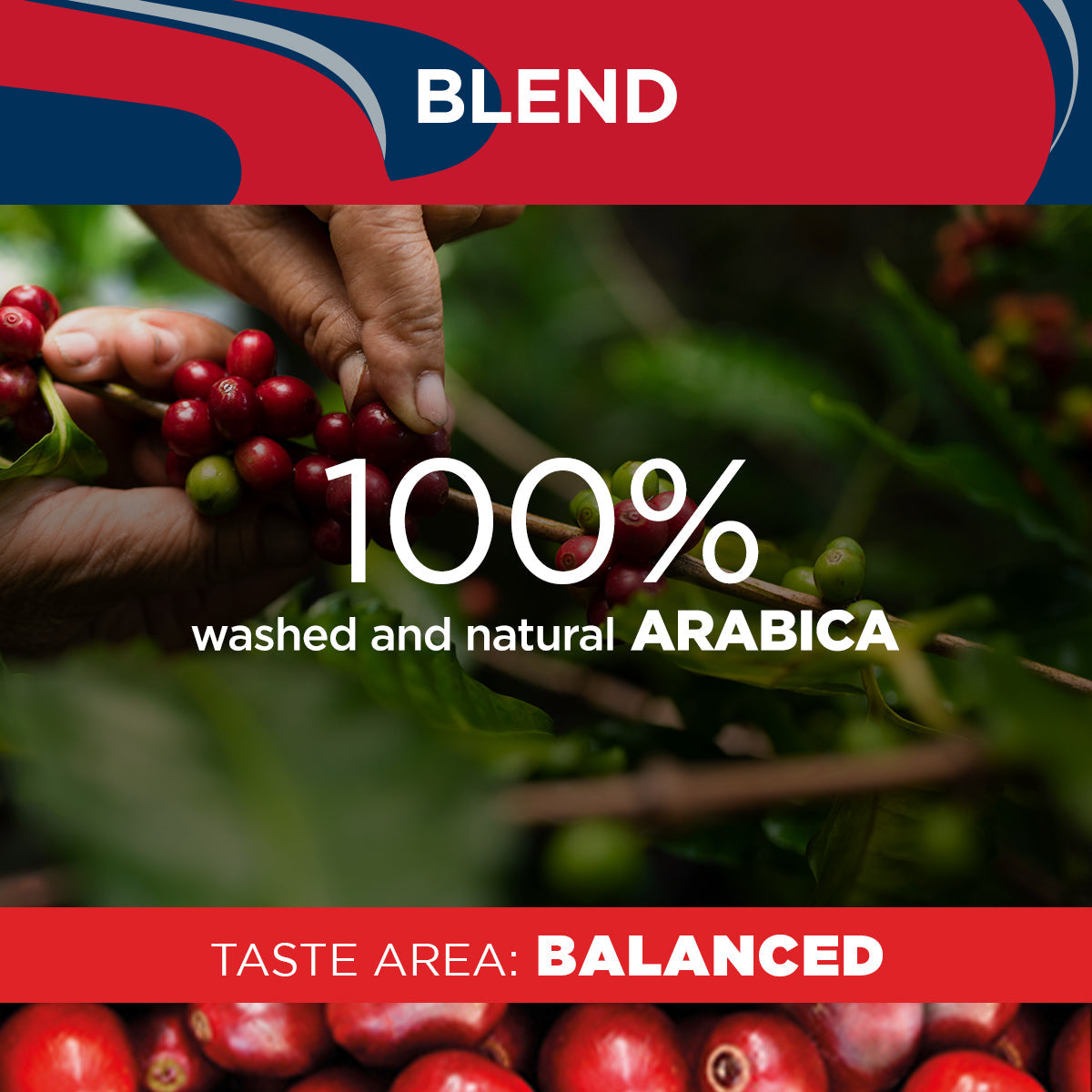 Lavazza Top Class Filtro Coffee {Italian} 226g