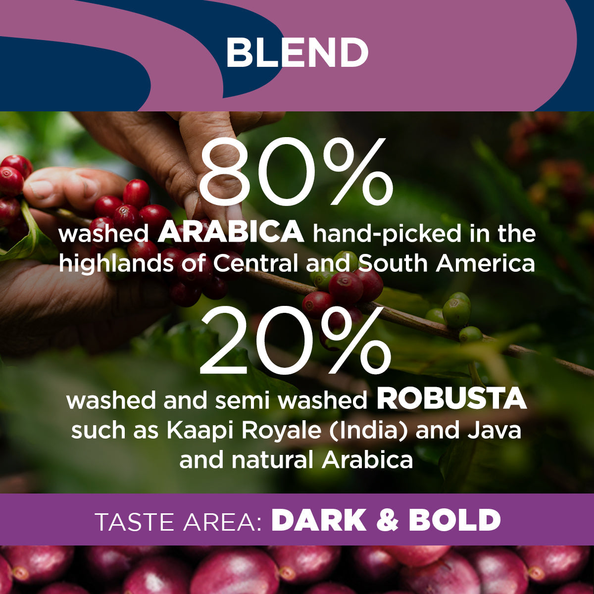 Lavazza Gran Riserva Coffee Beans - UK BUSINESS SUPPLIES