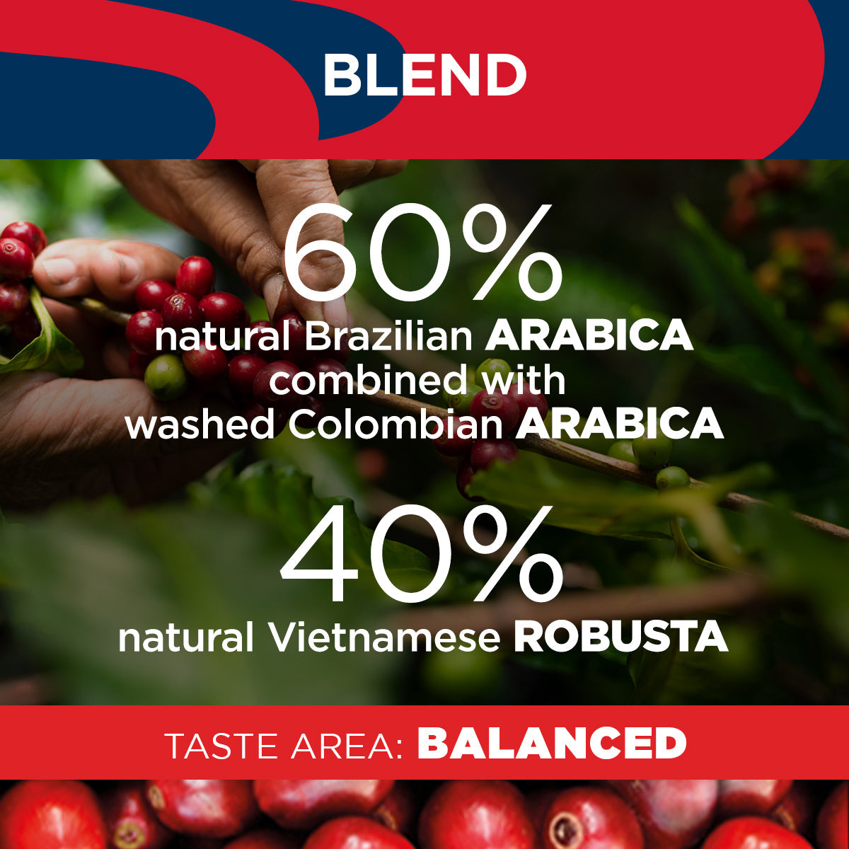 Lavazza Super Gusto Coffee Beans - UK BUSINESS SUPPLIES