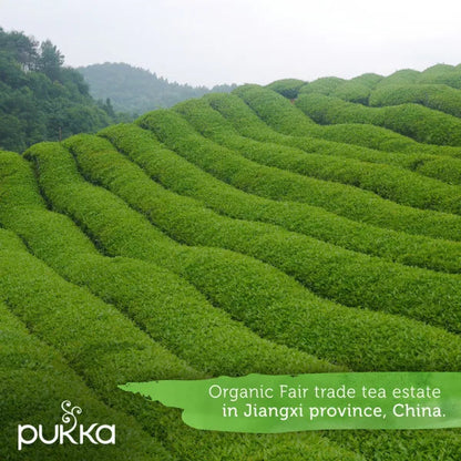 Pukka Tea Clean Matcha Green Organic Individually Wrapped Enveloped Tea 20's