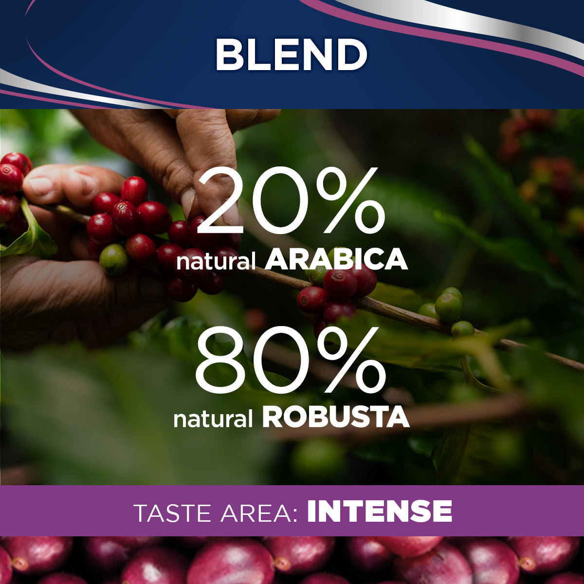 Lavazza Il Filtro Classico Filter Coffee 227g - UK BUSINESS SUPPLIES