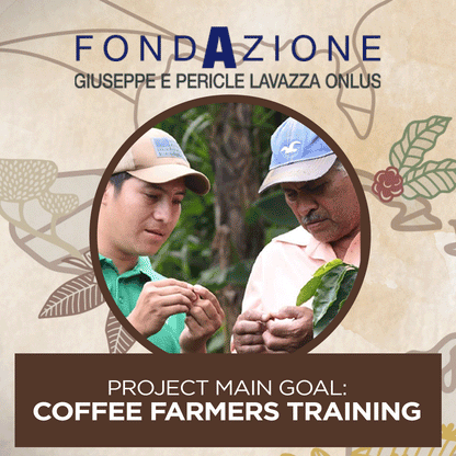 Lavazza La Reserva de Tierra Selection Coffee Beans 1kg