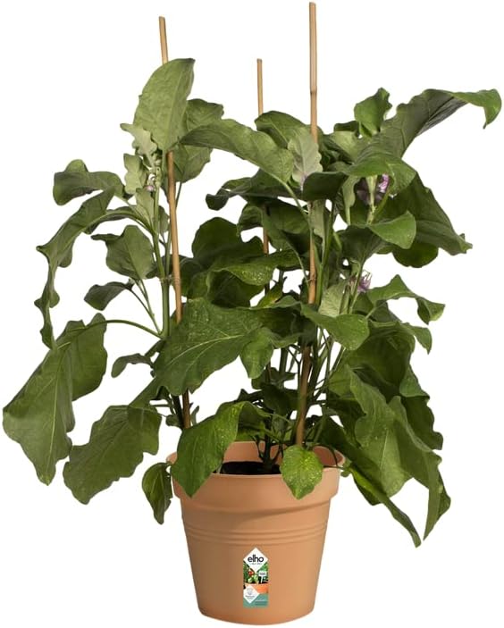 Elho Green Basics Grow Pot 19cm TERRACOTTA