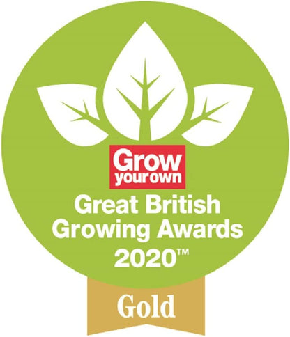 Spear & Jackson IPC3PS Indoor Plant Care 3 Piece Tools Set Garden, Red and Blue, 40.0 mm*230.0 mm*180.0 mm