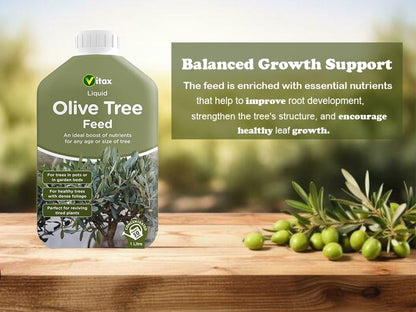 Vitax Olive Tree | Liquid Feed | Highly Concentrated | 1 Litre (Makes 250 Litres)