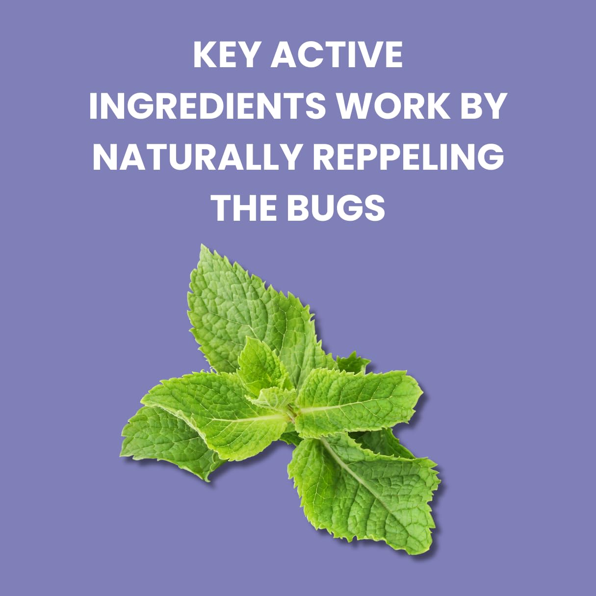Flow Bye Bye Bed Bug Treatment Killer Insect Replellant  | 750ml Trigger Spray
