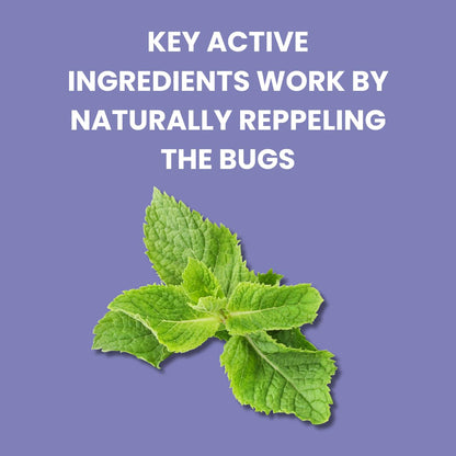 Flow Bye Bye Bed Bug Treatment Killer Insect Replellant  | 750ml Trigger Spray