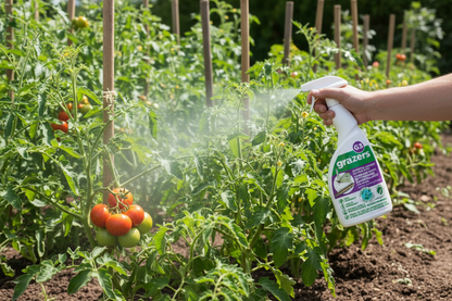 Grazers Cabbage White Butterflies, Caterpillars & Aphid | Ready To Use | 1 x 750ml Spray