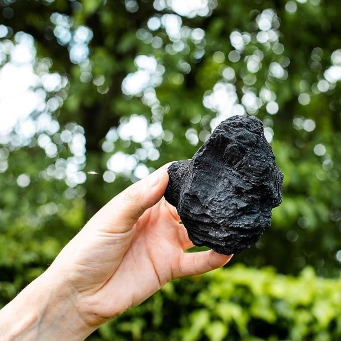 Homefire Barbecue Briquettes | 1 x 2.5kg Bag