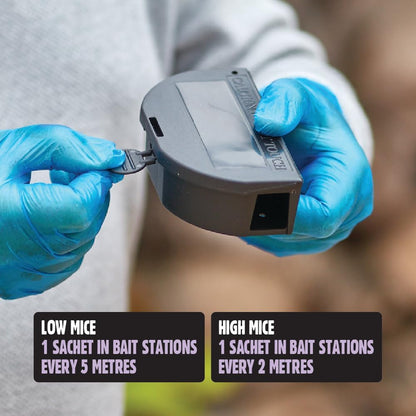 The Big Cheese Complete Mouse Killer Kit | Indoor Use