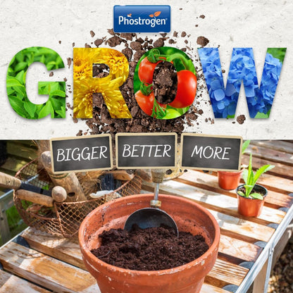 Phostrogen Toprose Rose Shrub & Feed Granules | FERTILIZER for Vibrant Roses 4kg